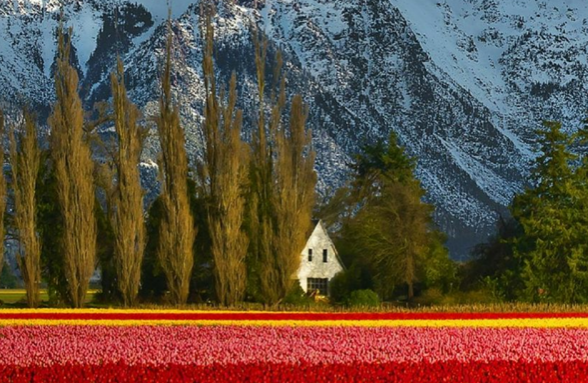 new mountains