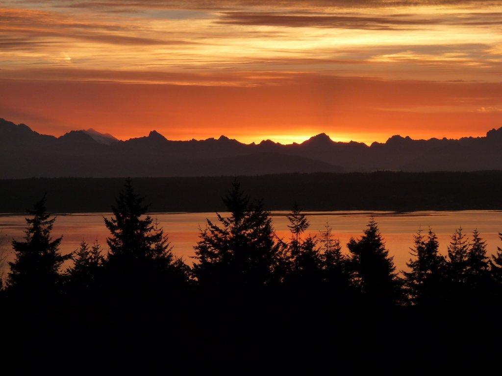 Pearson Transcription – 25 Years of Experience